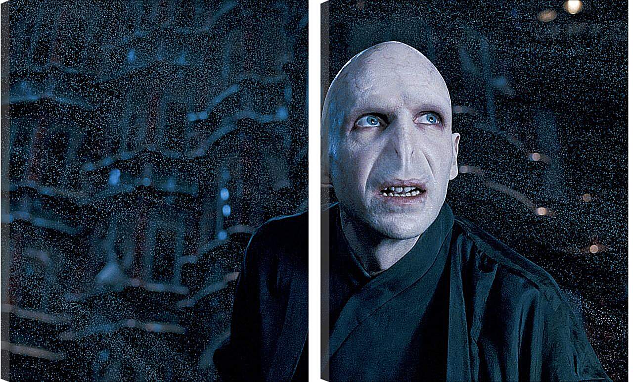 Модульная картина - Lord-Voldemort