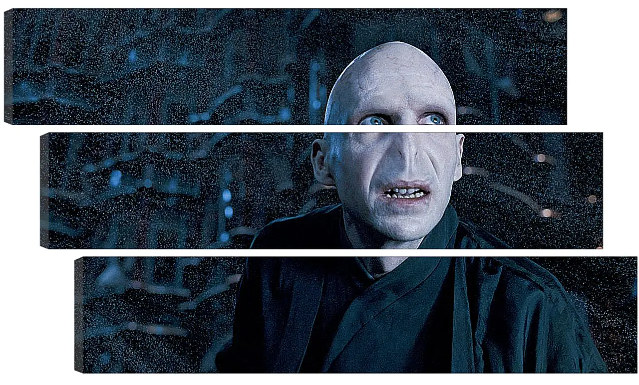 Модульная картина - Lord-Voldemort