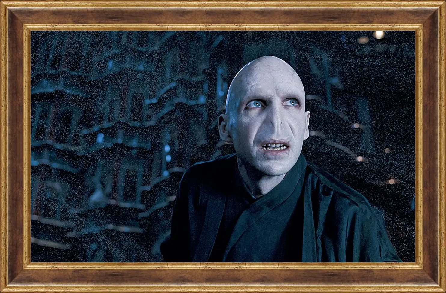 Картина в раме - Lord-Voldemort