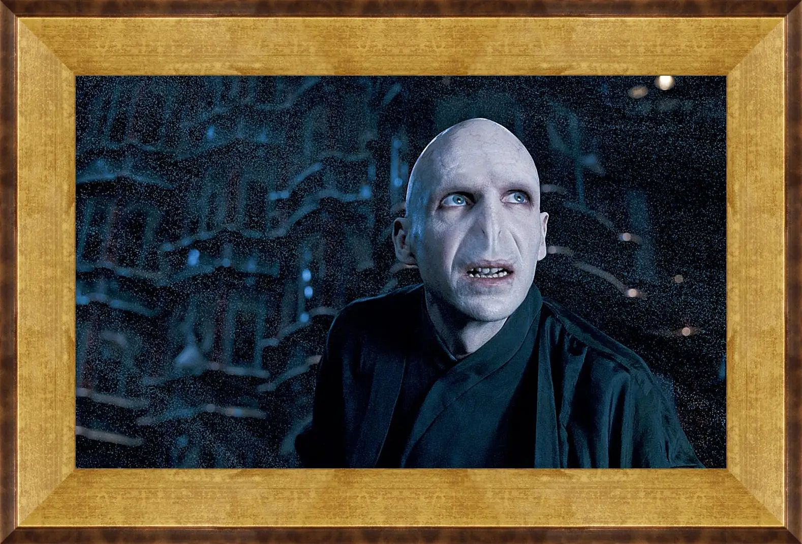 Картина в раме - Lord-Voldemort