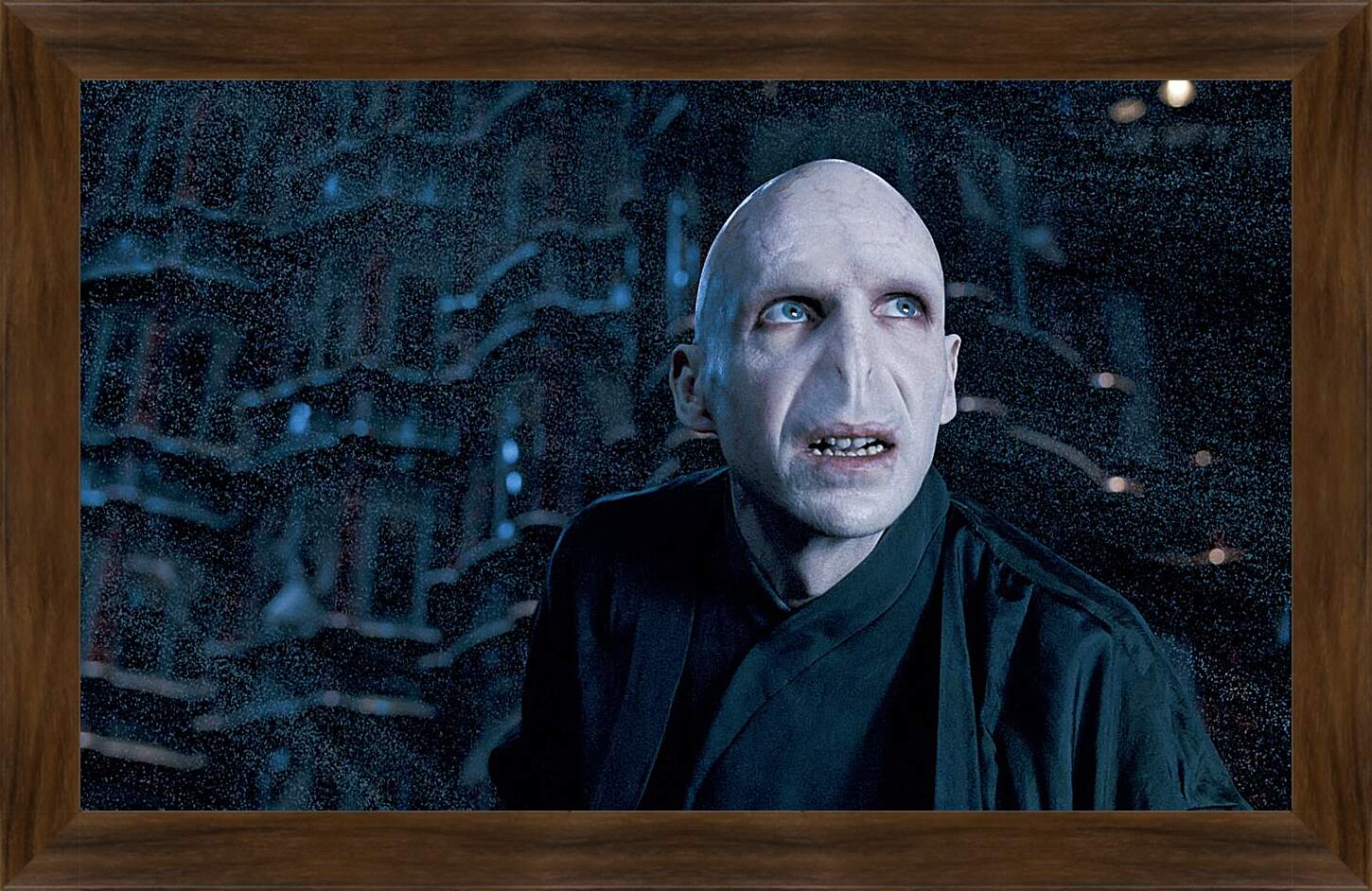 Картина в раме - Lord-Voldemort