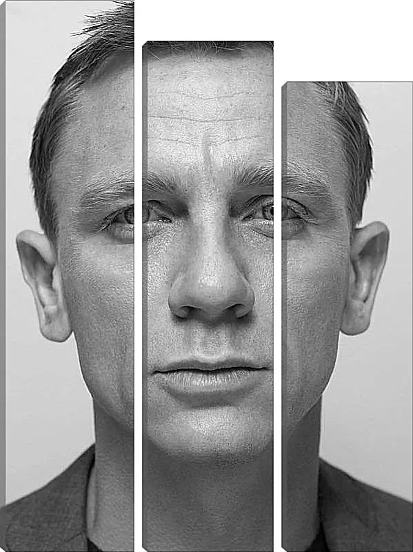 Модульная картина - Дэниел Крейг. Daniel Craig