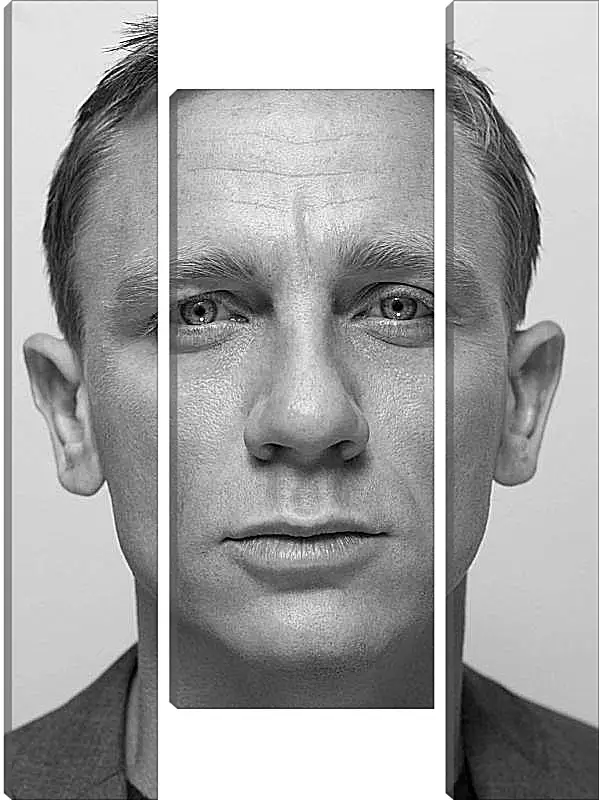 Модульная картина - Дэниел Крейг. Daniel Craig