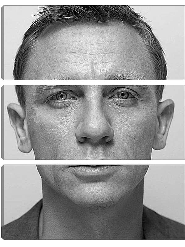Модульная картина - Дэниел Крейг. Daniel Craig