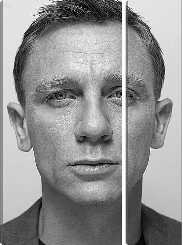 Модульная картина - Дэниел Крейг. Daniel Craig