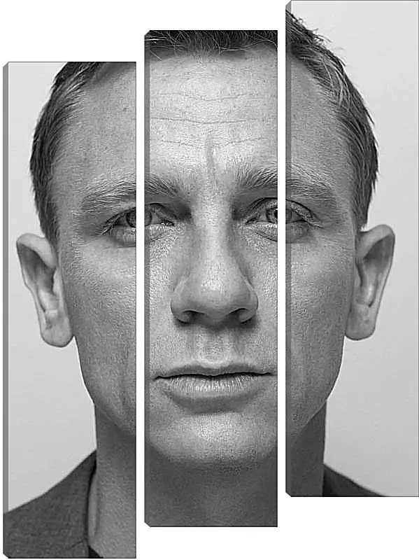 Модульная картина - Дэниел Крейг. Daniel Craig