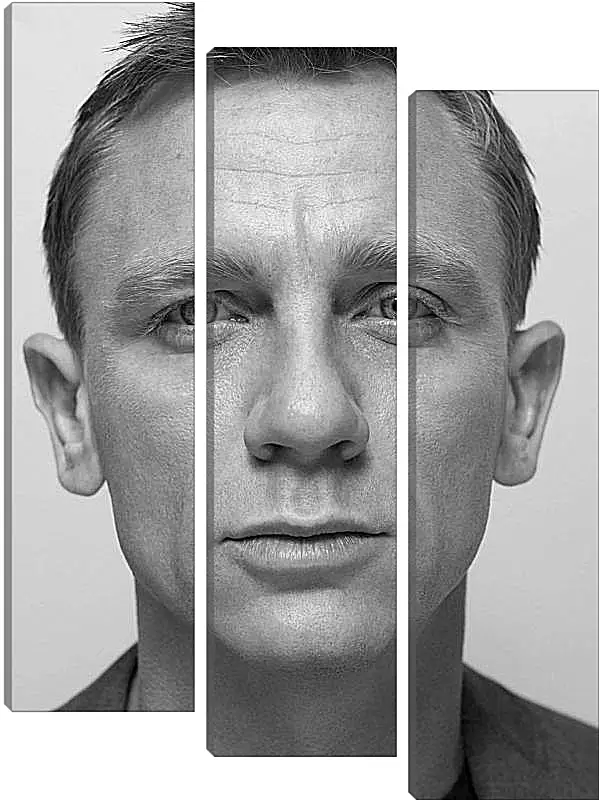 Модульная картина - Дэниел Крейг. Daniel Craig