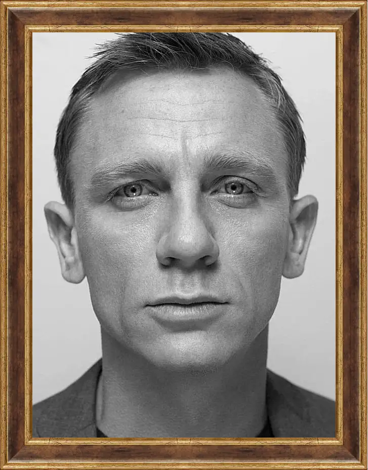 Картина в раме - Дэниел Крейг. Daniel Craig