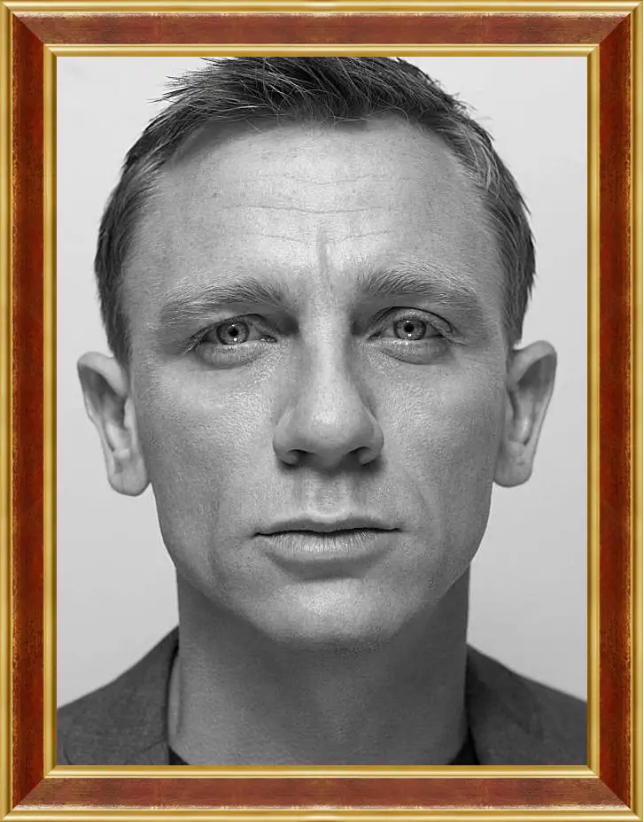 Картина в раме - Дэниел Крейг. Daniel Craig