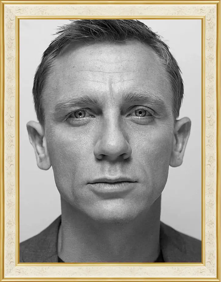 Картина в раме - Дэниел Крейг. Daniel Craig