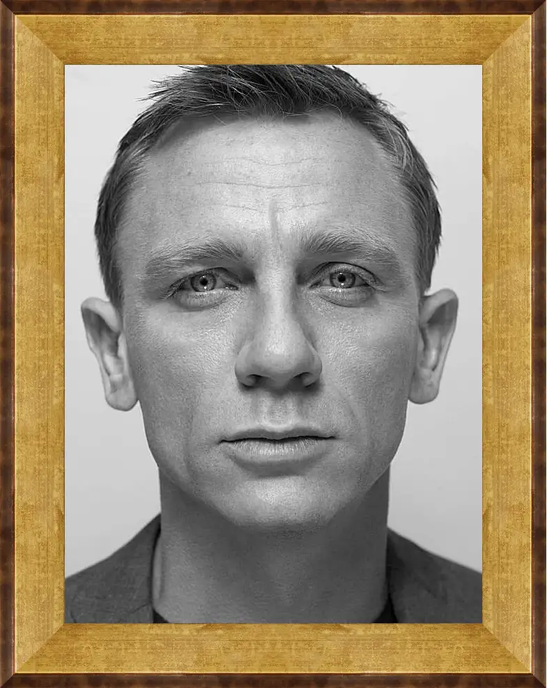 Картина в раме - Дэниел Крейг. Daniel Craig