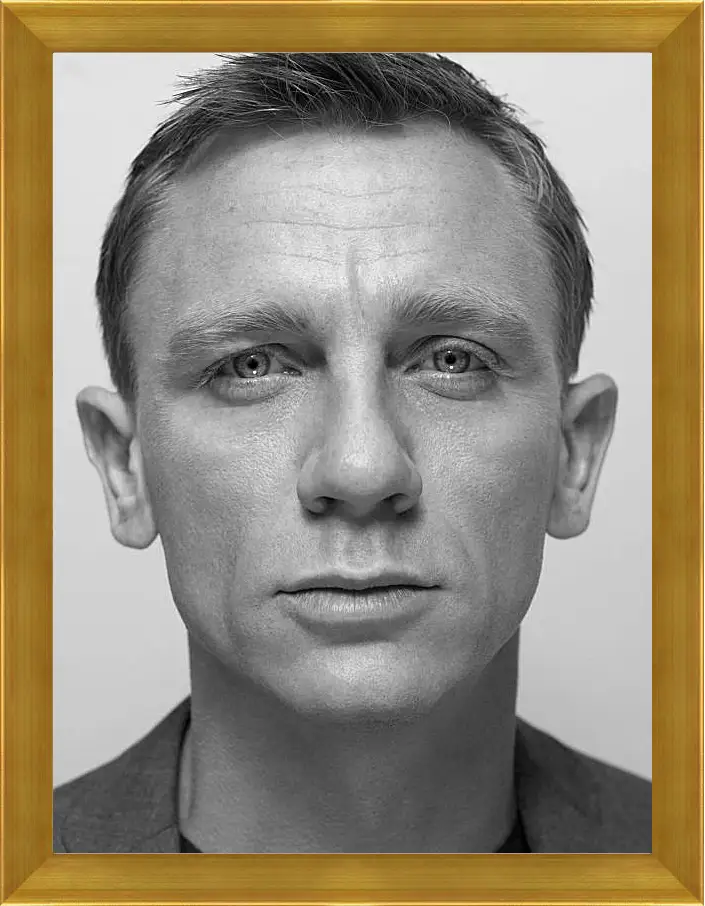 Картина в раме - Дэниел Крейг. Daniel Craig