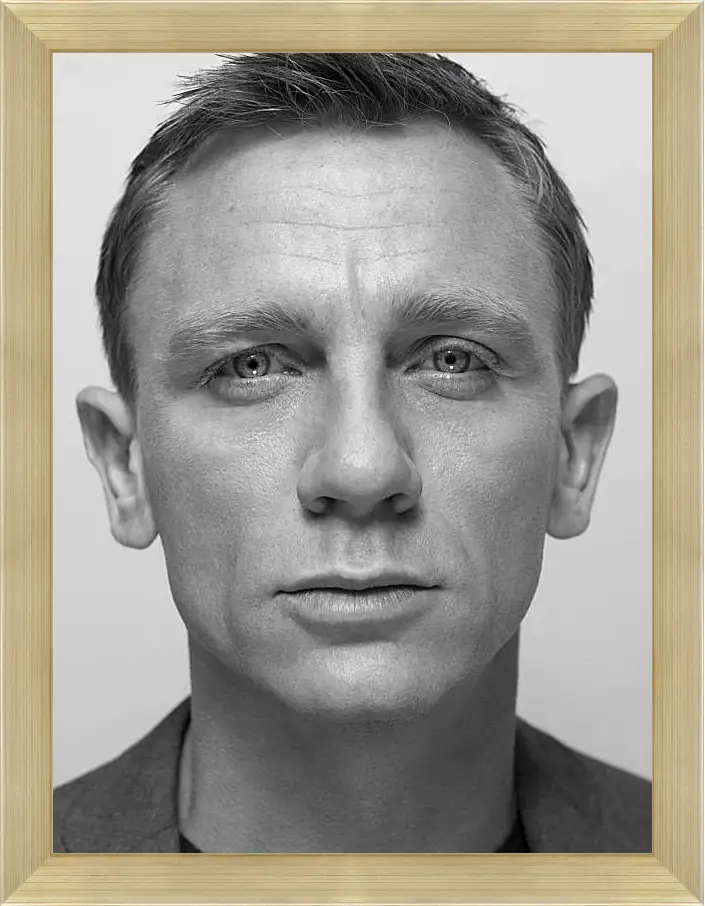 Картина в раме - Дэниел Крейг. Daniel Craig