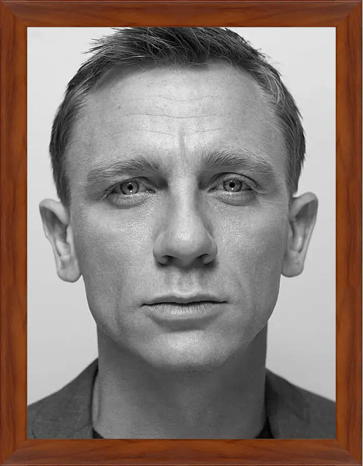 Картина в раме - Дэниел Крейг. Daniel Craig