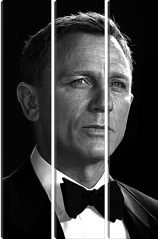 Модульная картина - Дэниел Крейг. Daniel Craig