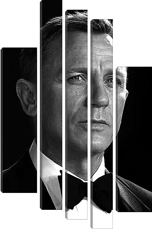 Модульная картина - Дэниел Крейг. Daniel Craig