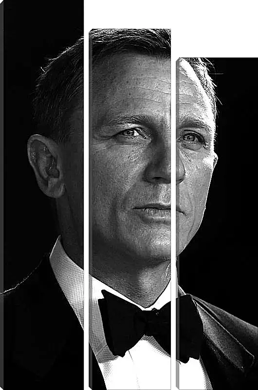 Модульная картина - Дэниел Крейг. Daniel Craig