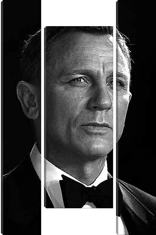 Модульная картина - Дэниел Крейг. Daniel Craig