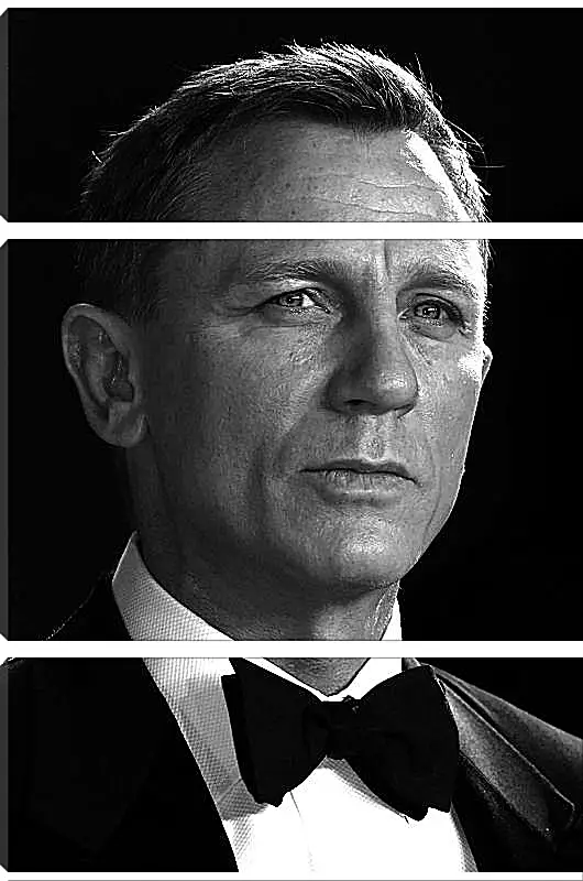 Модульная картина - Дэниел Крейг. Daniel Craig