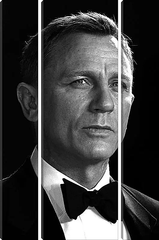 Модульная картина - Дэниел Крейг. Daniel Craig