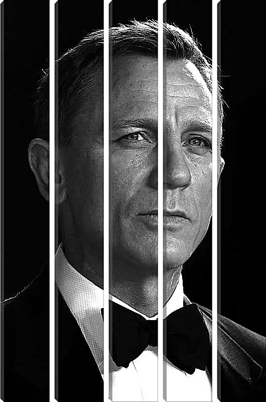 Модульная картина - Дэниел Крейг. Daniel Craig