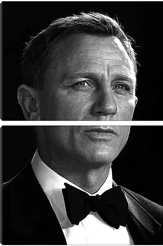 Модульная картина - Дэниел Крейг. Daniel Craig