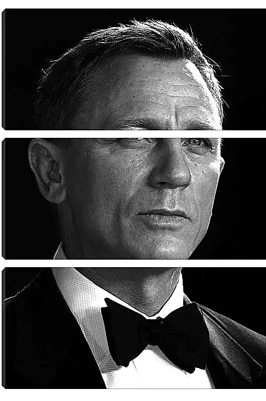 Модульная картина - Дэниел Крейг. Daniel Craig