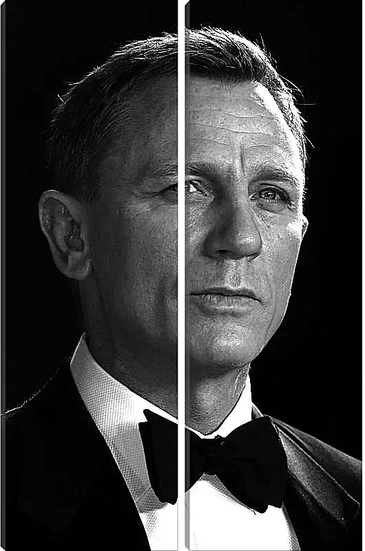 Модульная картина - Дэниел Крейг. Daniel Craig