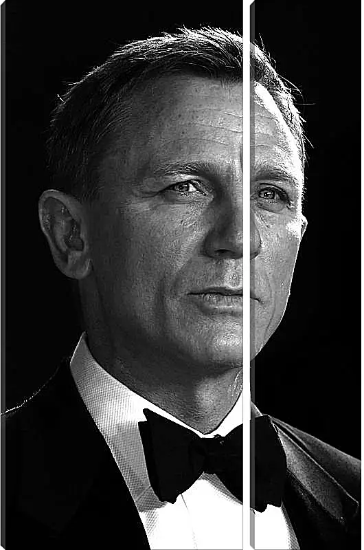 Модульная картина - Дэниел Крейг. Daniel Craig