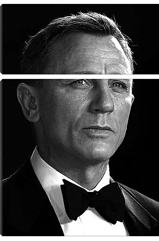 Модульная картина - Дэниел Крейг. Daniel Craig