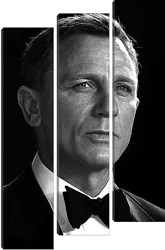 Модульная картина - Дэниел Крейг. Daniel Craig