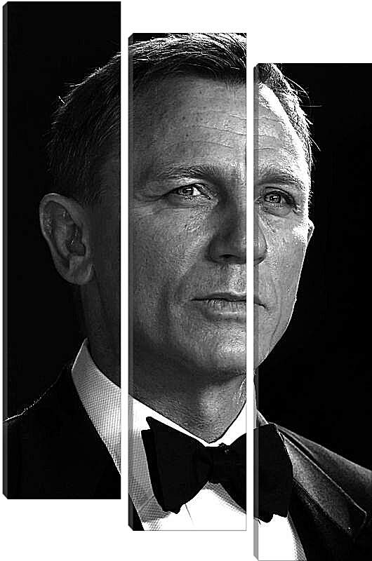 Модульная картина - Дэниел Крейг. Daniel Craig