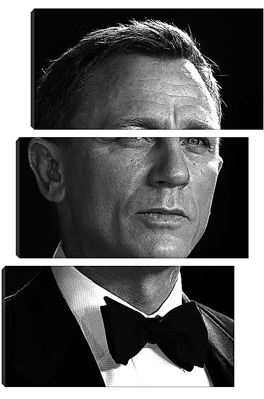 Модульная картина - Дэниел Крейг. Daniel Craig