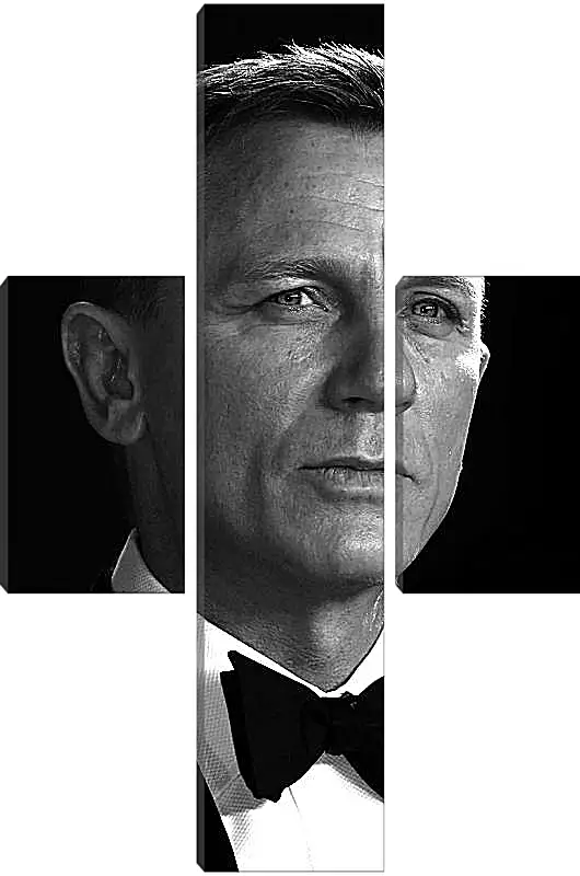 Модульная картина - Дэниел Крейг. Daniel Craig