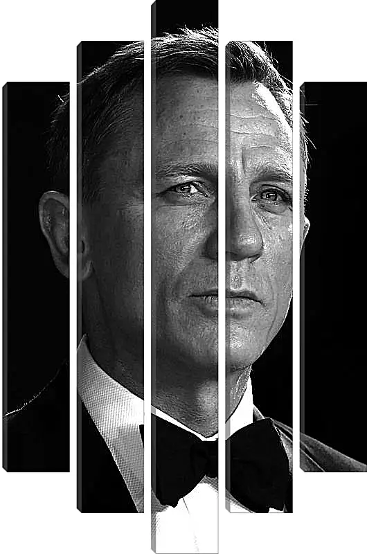 Модульная картина - Дэниел Крейг. Daniel Craig