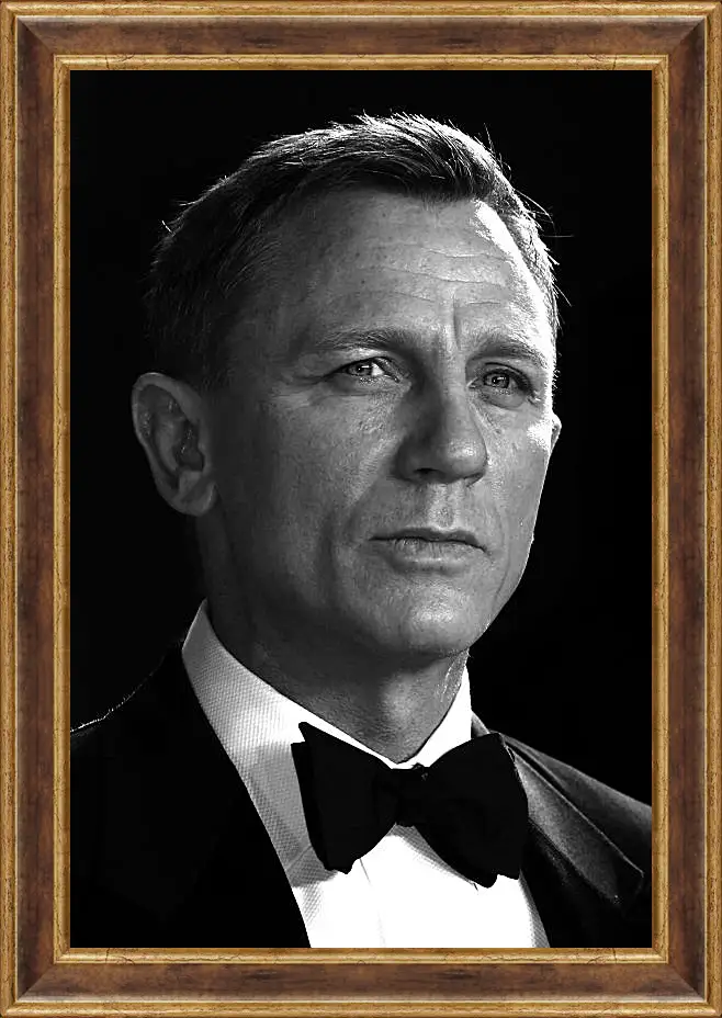 Картина в раме - Дэниел Крейг. Daniel Craig