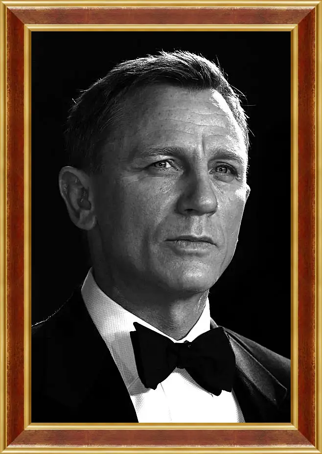 Картина в раме - Дэниел Крейг. Daniel Craig