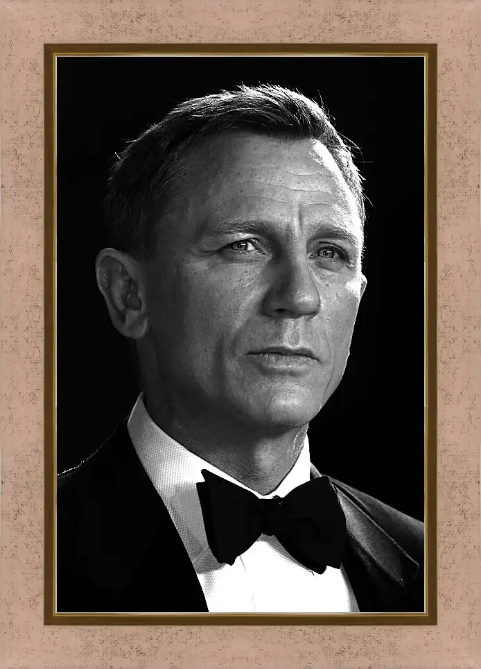 Картина в раме - Дэниел Крейг. Daniel Craig