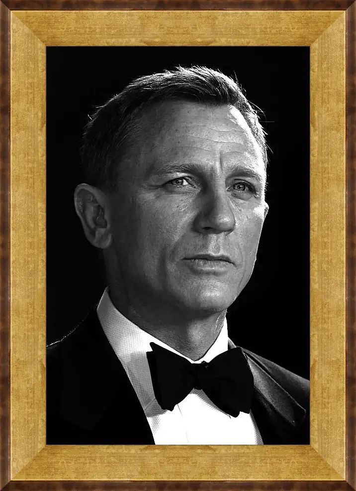 Картина в раме - Дэниел Крейг. Daniel Craig