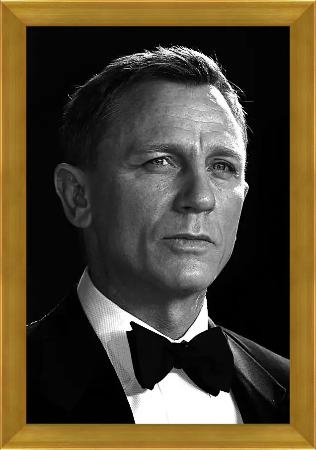 Картина в раме - Дэниел Крейг. Daniel Craig