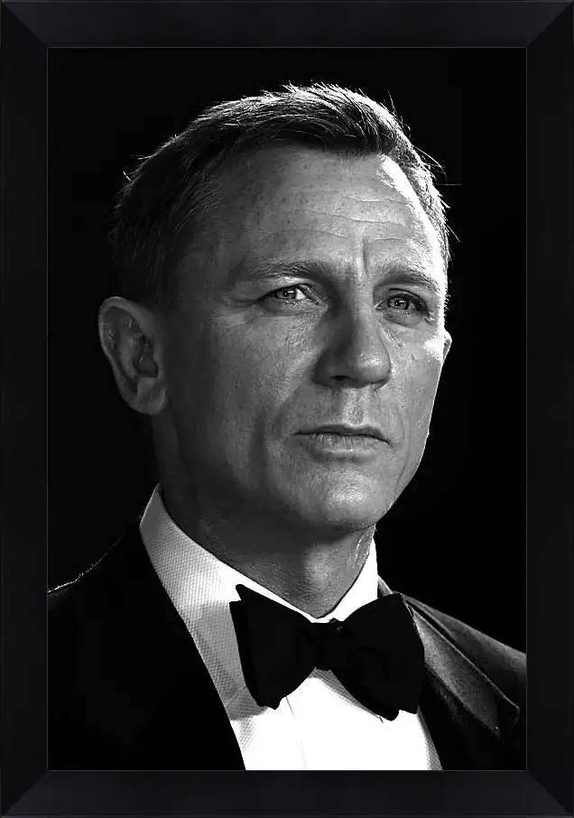 Картина в раме - Дэниел Крейг. Daniel Craig