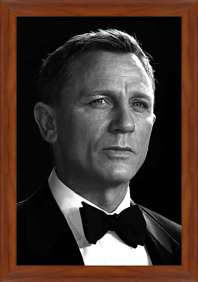 Картина в раме - Дэниел Крейг. Daniel Craig