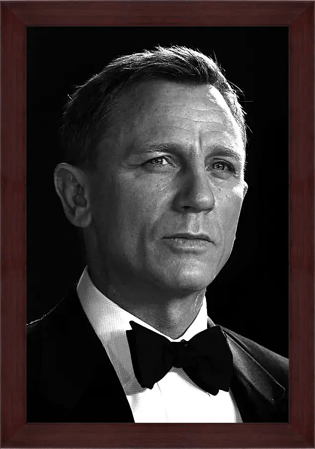 Картина в раме - Дэниел Крейг. Daniel Craig