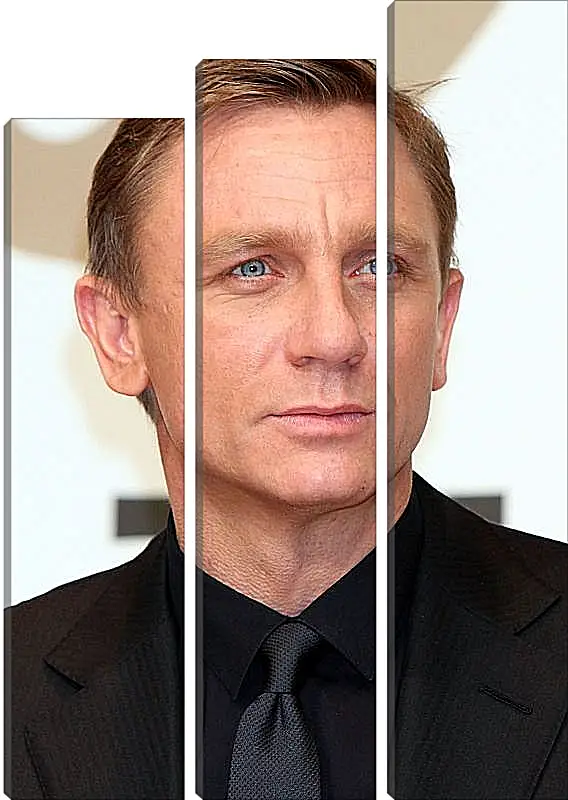 Модульная картина - Дэниел Крейг. Daniel Craig