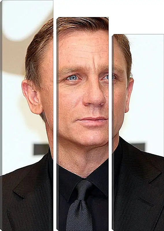 Модульная картина - Дэниел Крейг. Daniel Craig