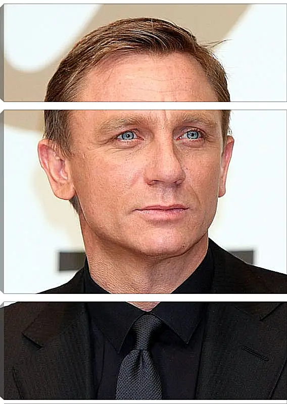 Модульная картина - Дэниел Крейг. Daniel Craig