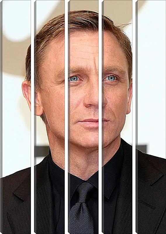 Модульная картина - Дэниел Крейг. Daniel Craig