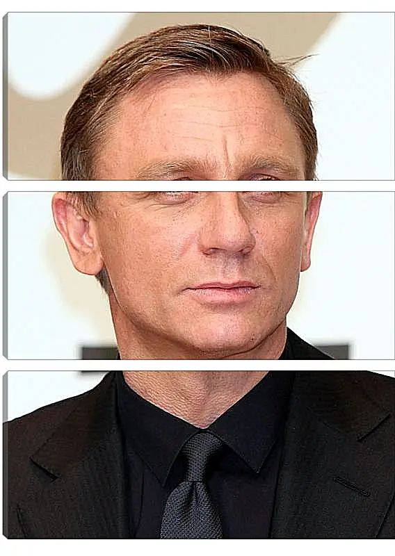 Модульная картина - Дэниел Крейг. Daniel Craig