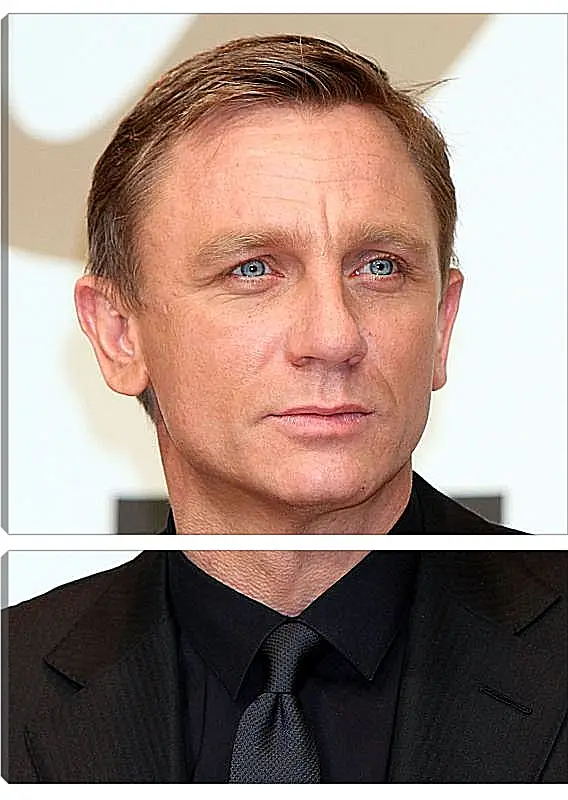 Модульная картина - Дэниел Крейг. Daniel Craig