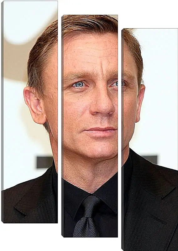 Модульная картина - Дэниел Крейг. Daniel Craig